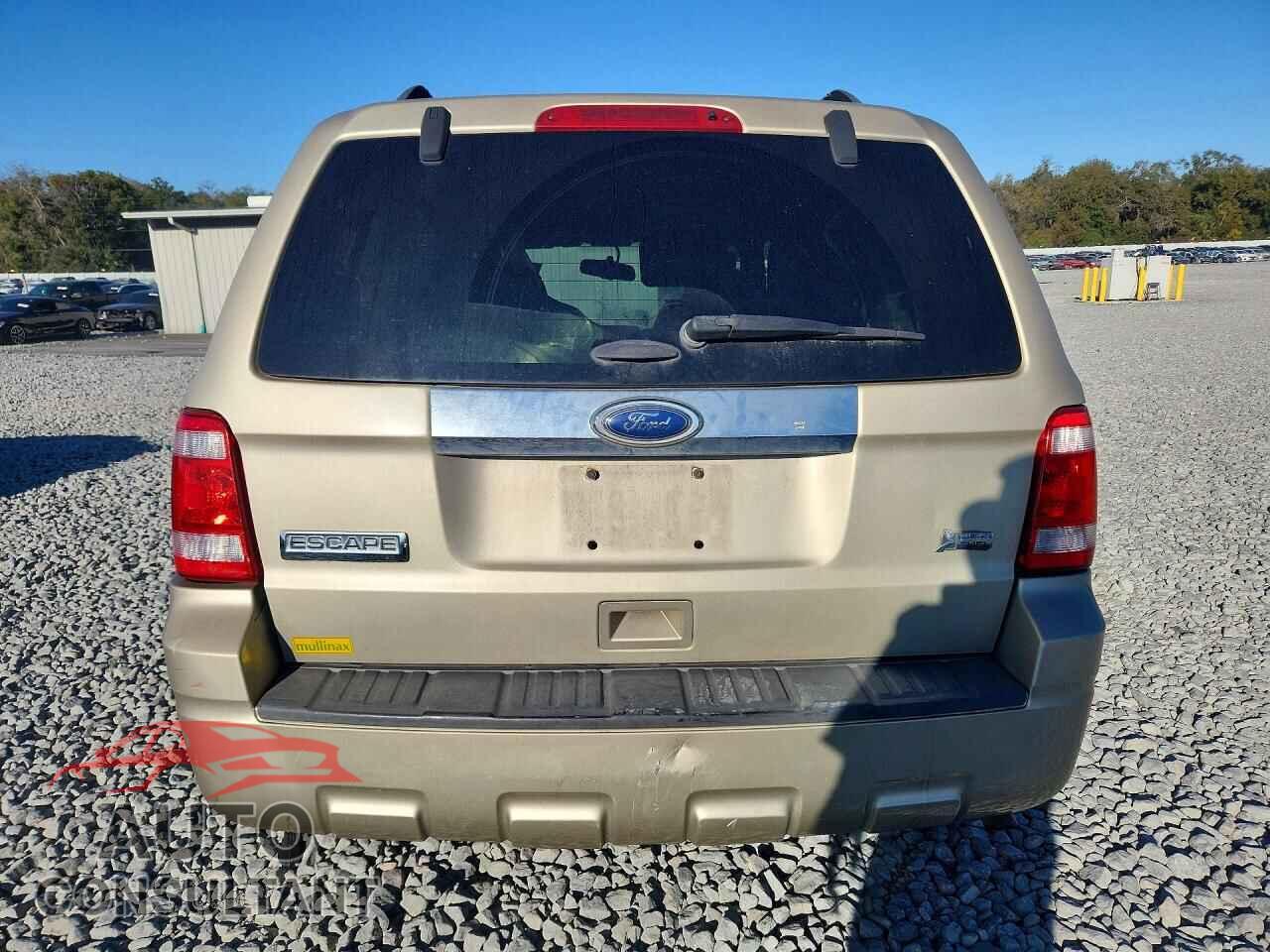 FORD ESCAPE 2011 - 1FMCU0EG9BKB63806