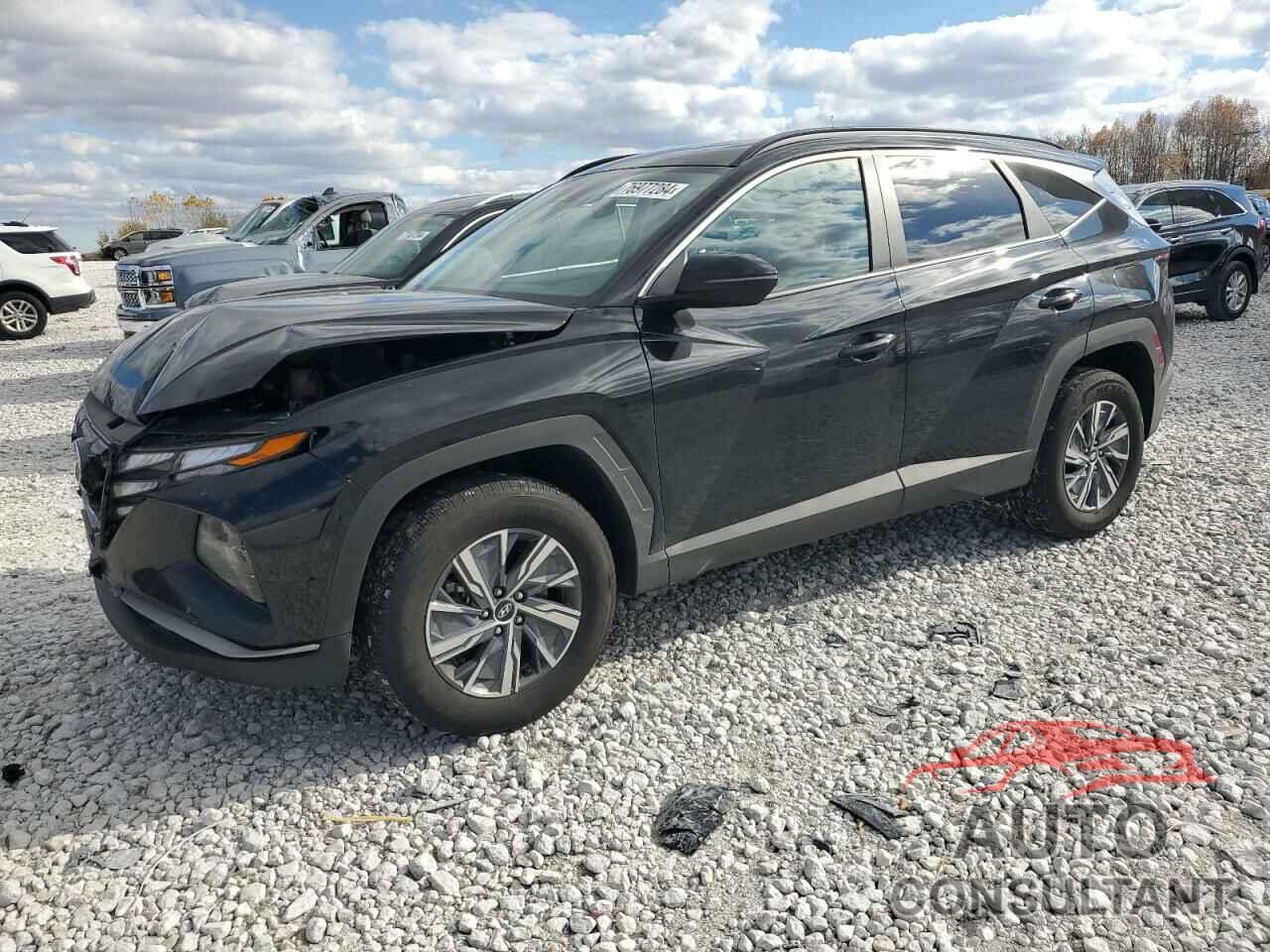 HYUNDAI TUCSON 2023 - KM8JBCA16PU120231