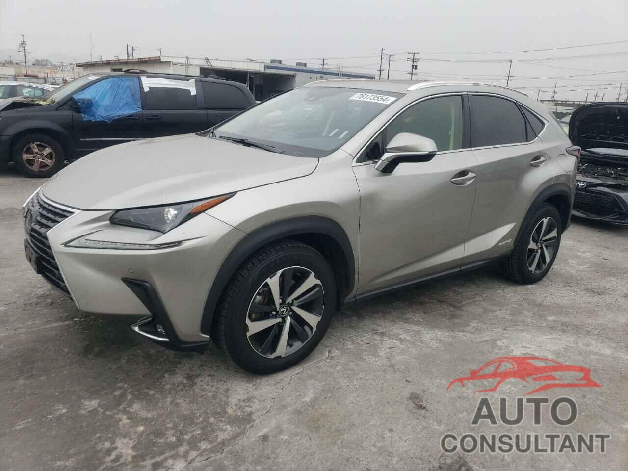 LEXUS NX 2020 - JTJGJRDZ4L2132967