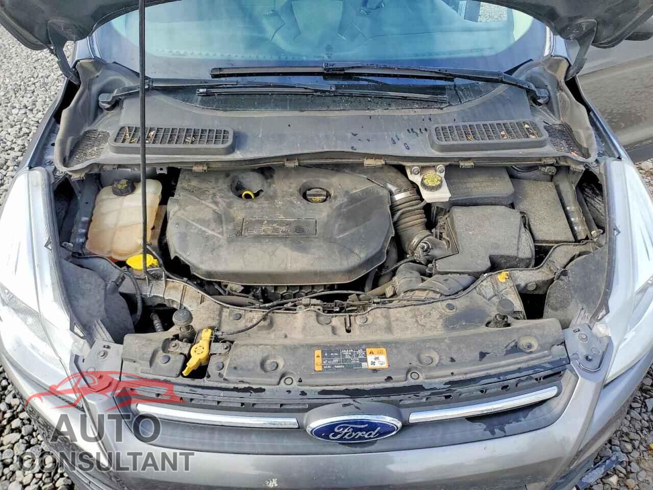 FORD ESCAPE 2014 - 1FMCU9G98EUC94396