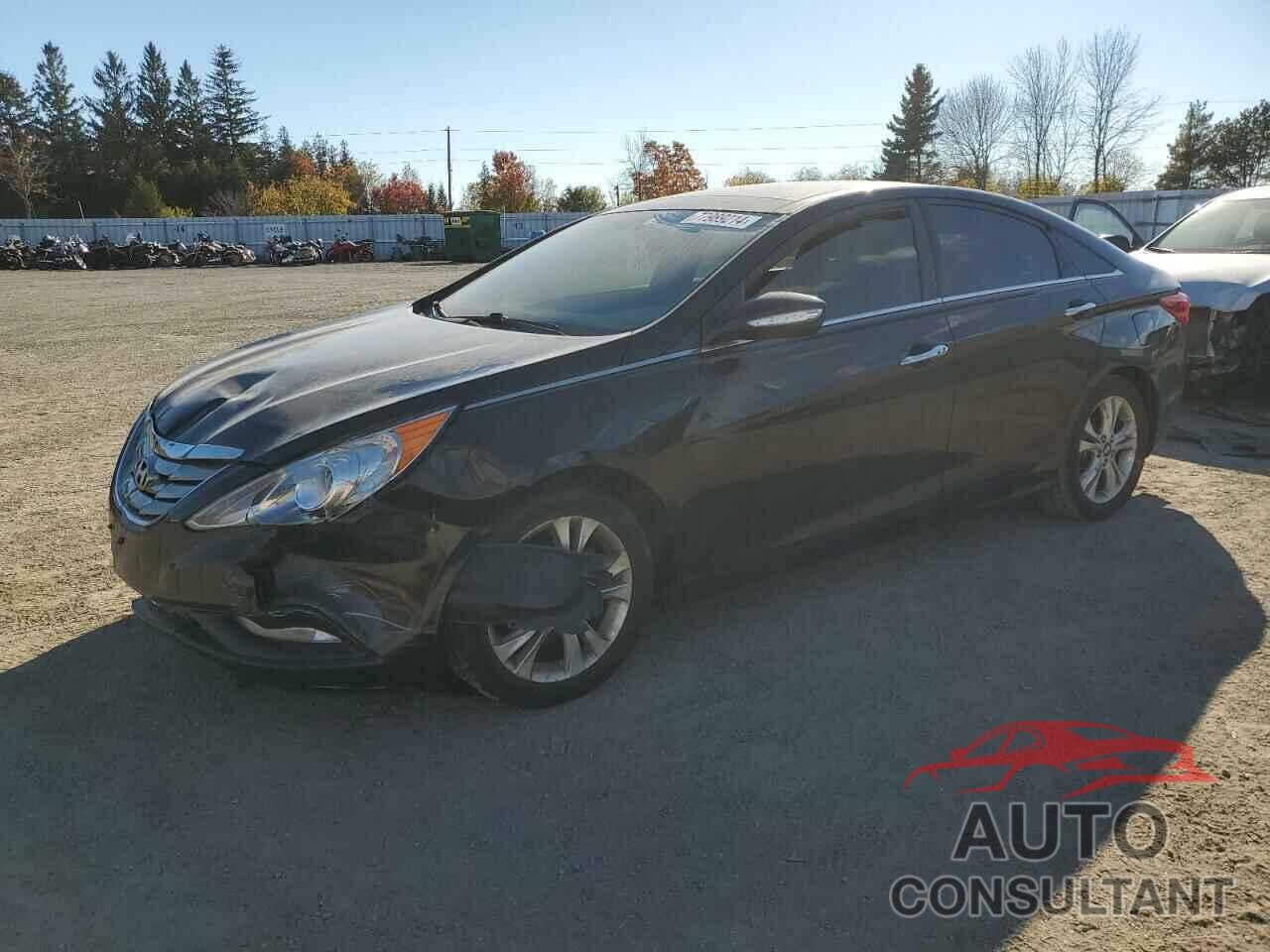 HYUNDAI SONATA 2013 - 5NPEC4AB8DH565612