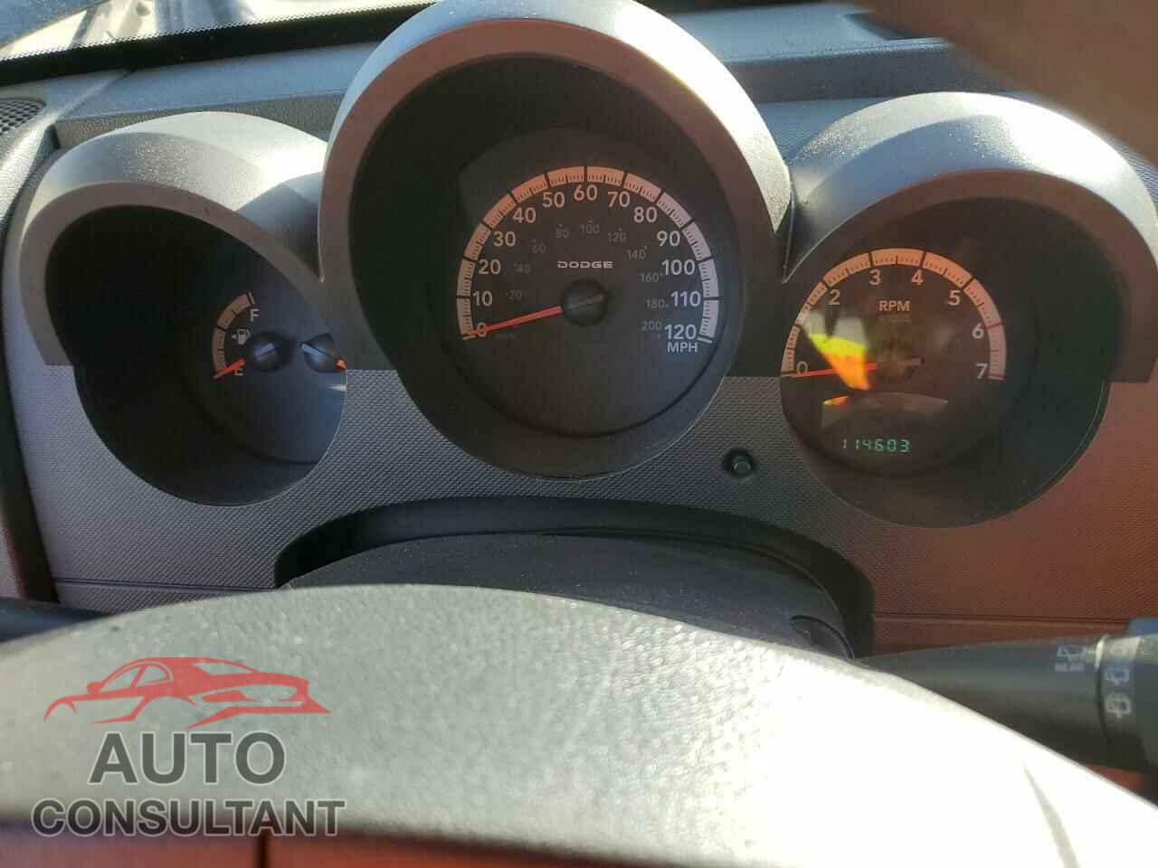 DODGE NITRO 2010 - 1D4PT2GK3AW105206