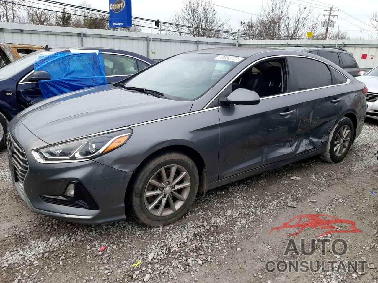 HYUNDAI SONATA 2019 - 5NPE24AF5KH732270