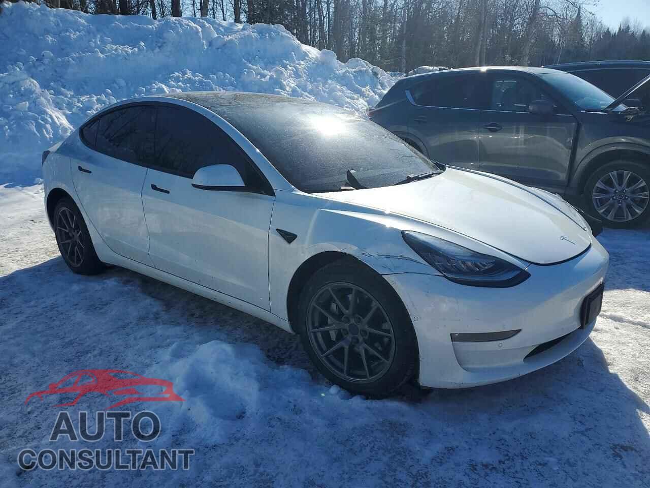 TESLA MODEL 3 2021 - 5YJ3E1EB5MF855783