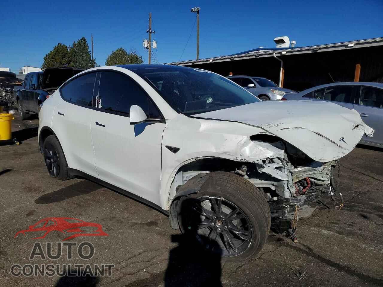 TESLA MODEL Y 2024 - 7SAYGDEE1RF151425