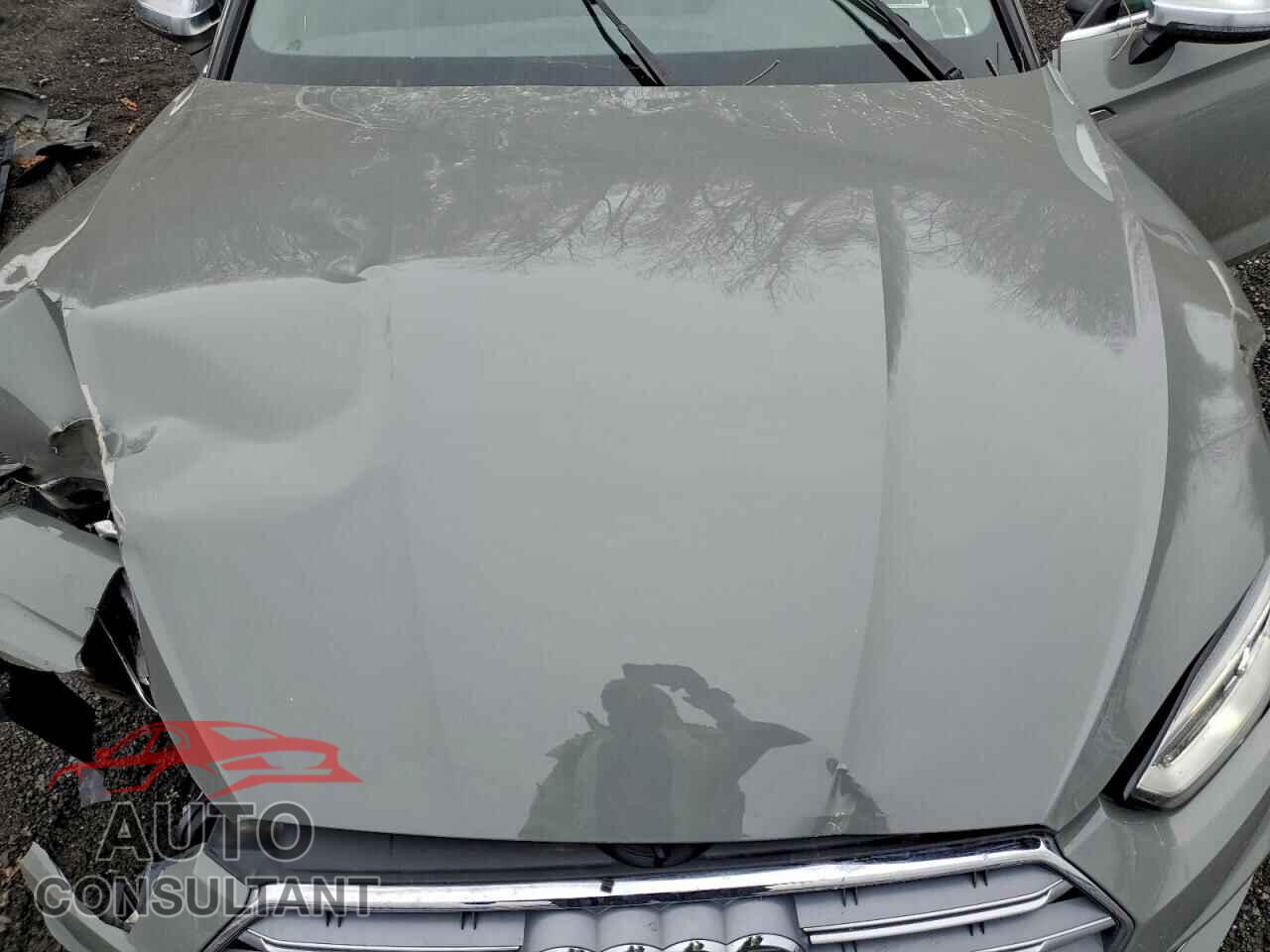 AUDI S5/RS5 2019 - WAUA4CF58KA093423