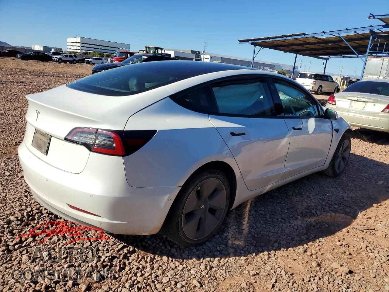 TESLA MODEL 3 2021 - 5YJ3E1EA0MF976891
