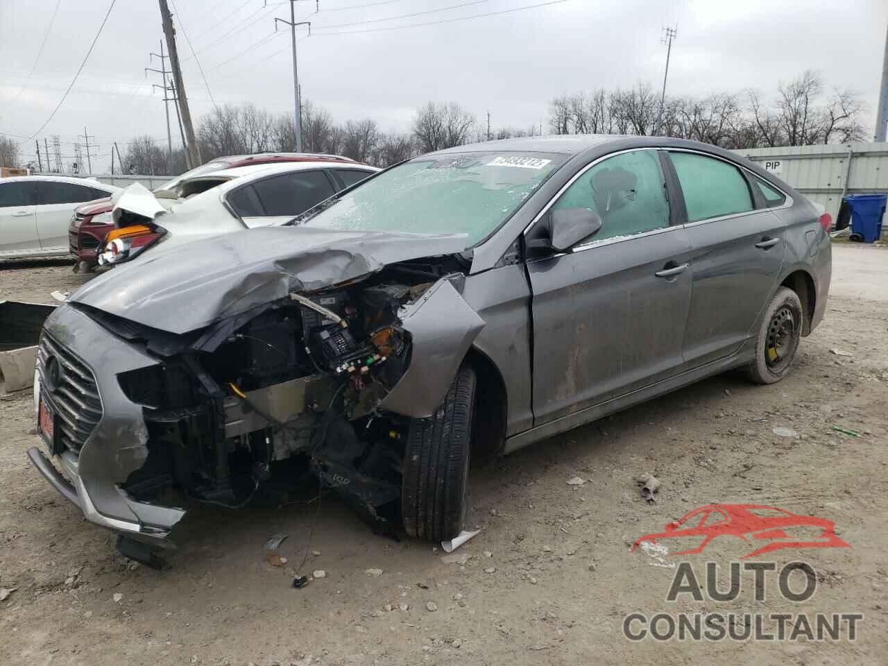 HYUNDAI SONATA 2019 - 5NPE24AF0KH755763