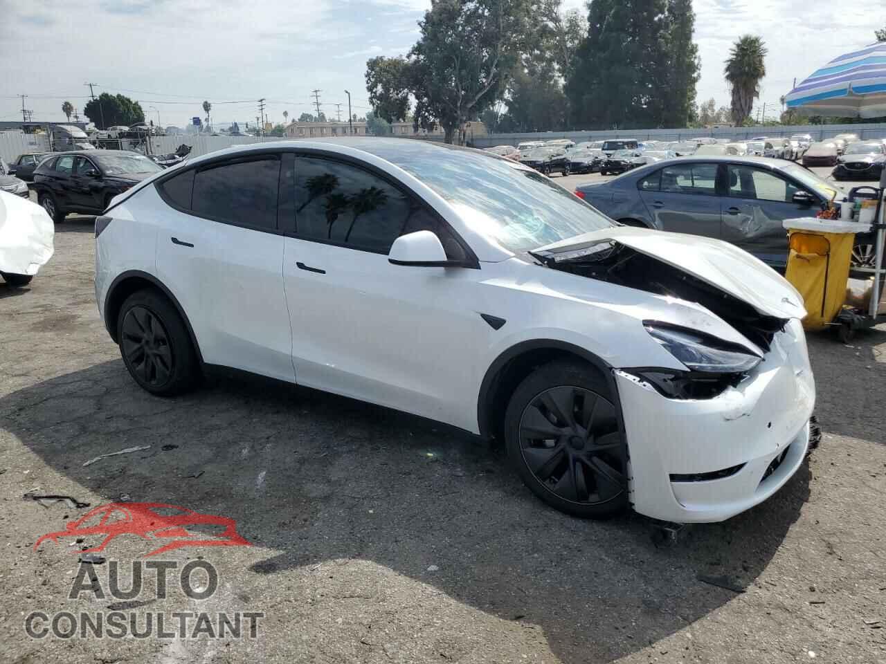 TESLA MODEL Y 2024 - 7SAYGDEE5RF131663