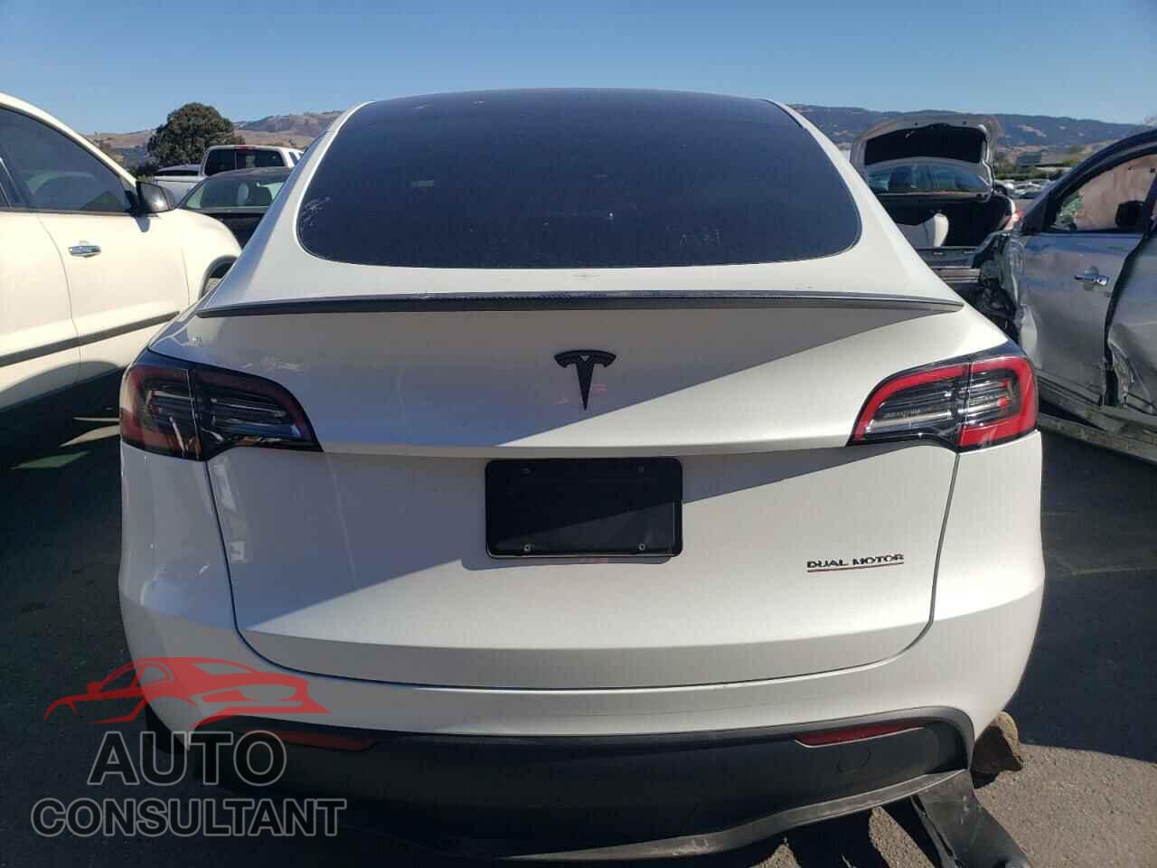 TESLA MODEL Y 2023 - 7SAYGDEF0PF754856