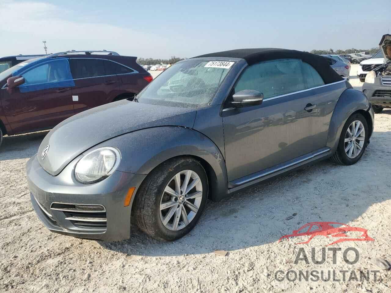 VOLKSWAGEN BEETLE 2018 - 3VW5DAAT0JM516654