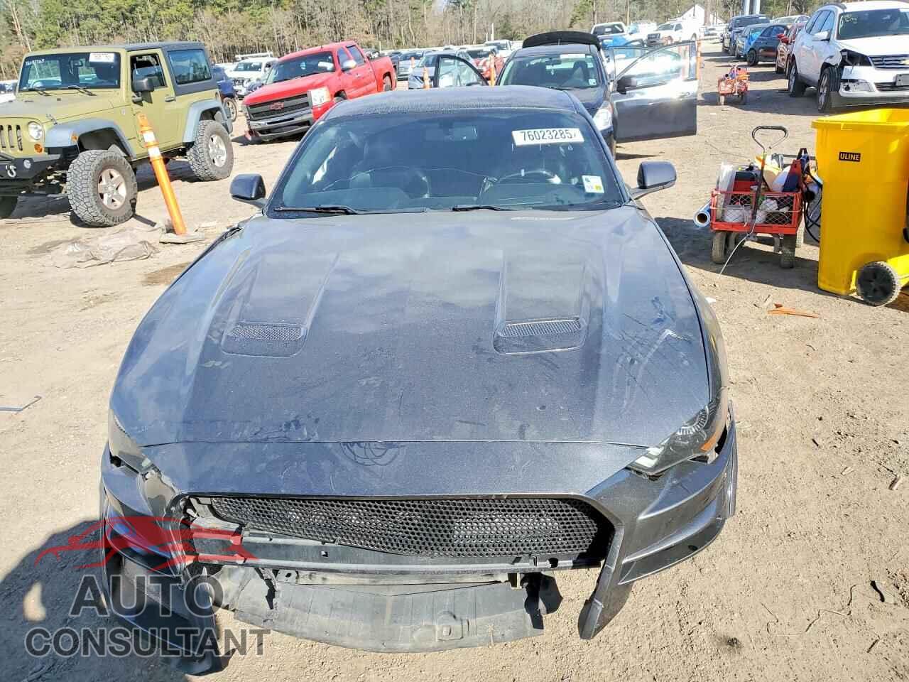 FORD MUSTANG 2019 - 1FA6P8CF3K5129429