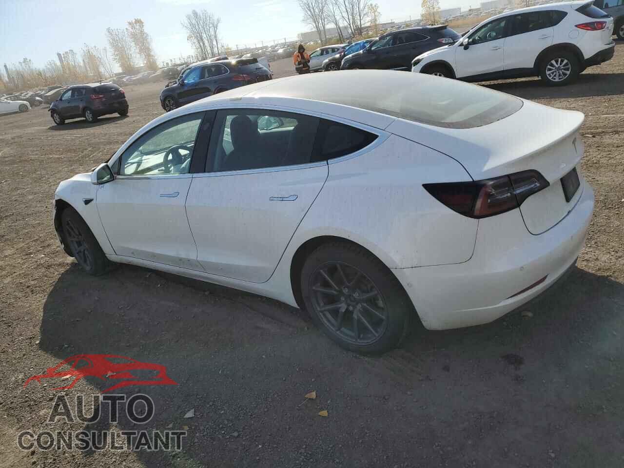 TESLA MODEL 3 2019 - 5YJ3E1EA5KF483219