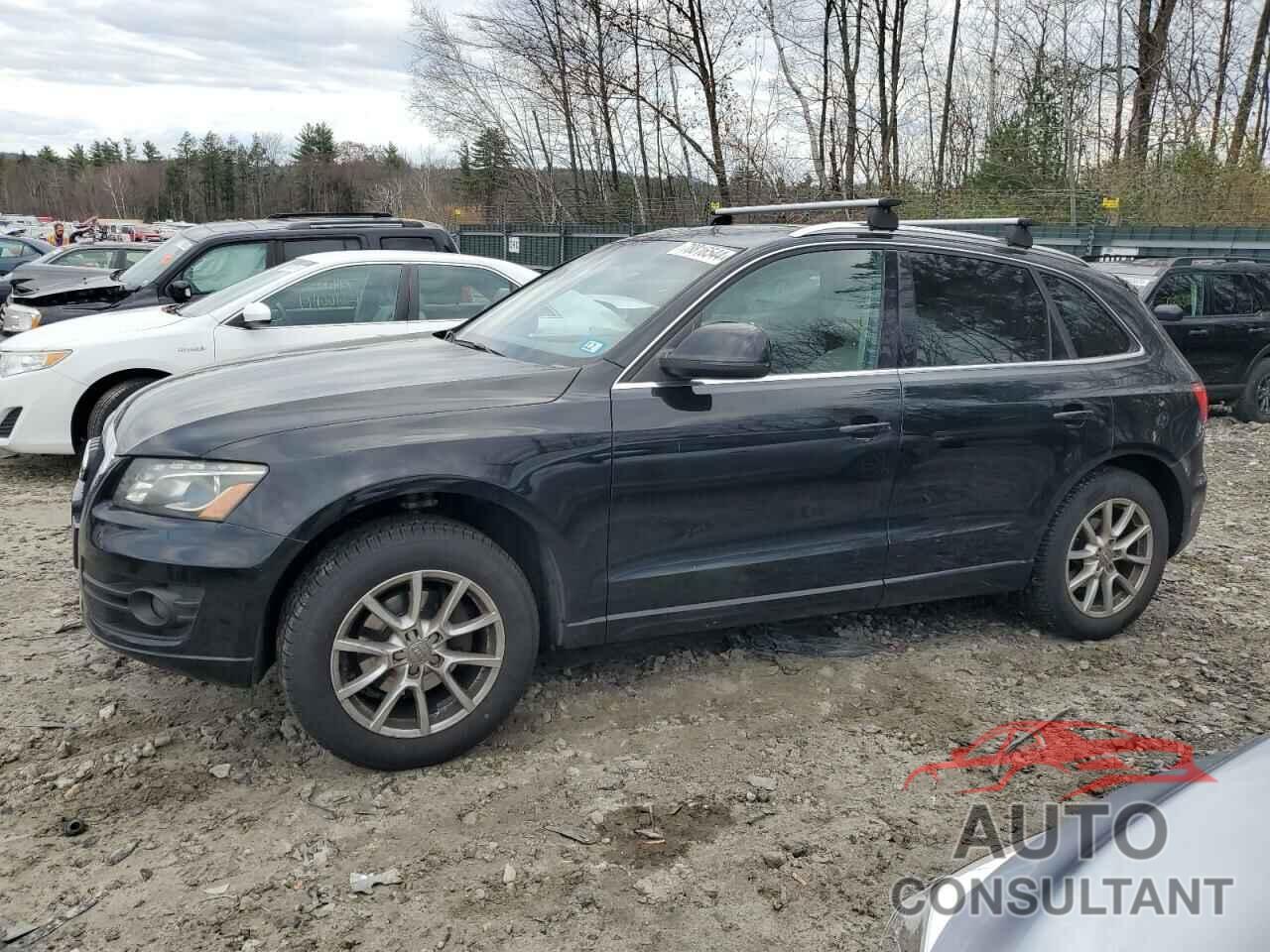 AUDI Q5 2010 - WA1LKAFP7AA017711