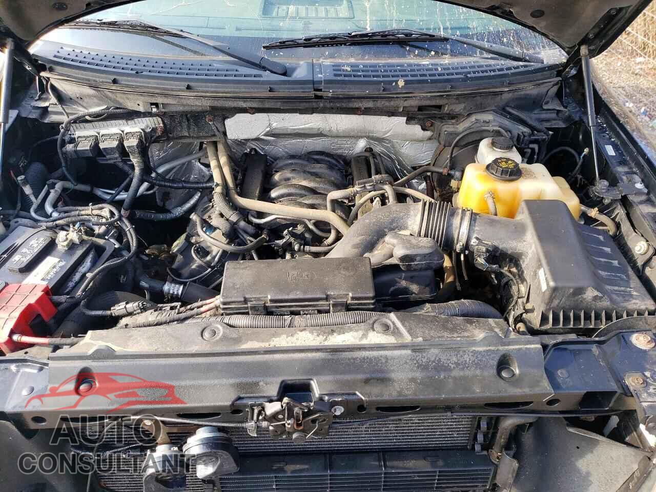 FORD F-150 2013 - 1FTFX1EF3DFD50539