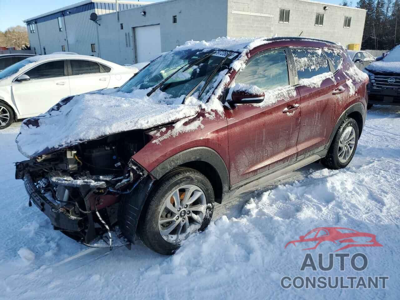 HYUNDAI TUCSON 2017 - KM8J33A40HU523405