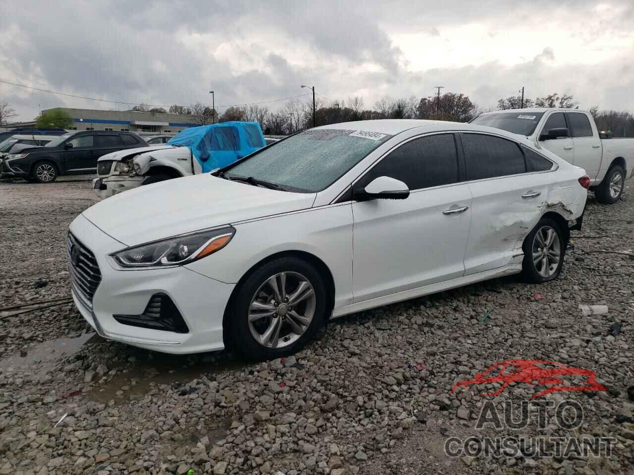 HYUNDAI SONATA 2018 - 5NPE34AF3JH676728