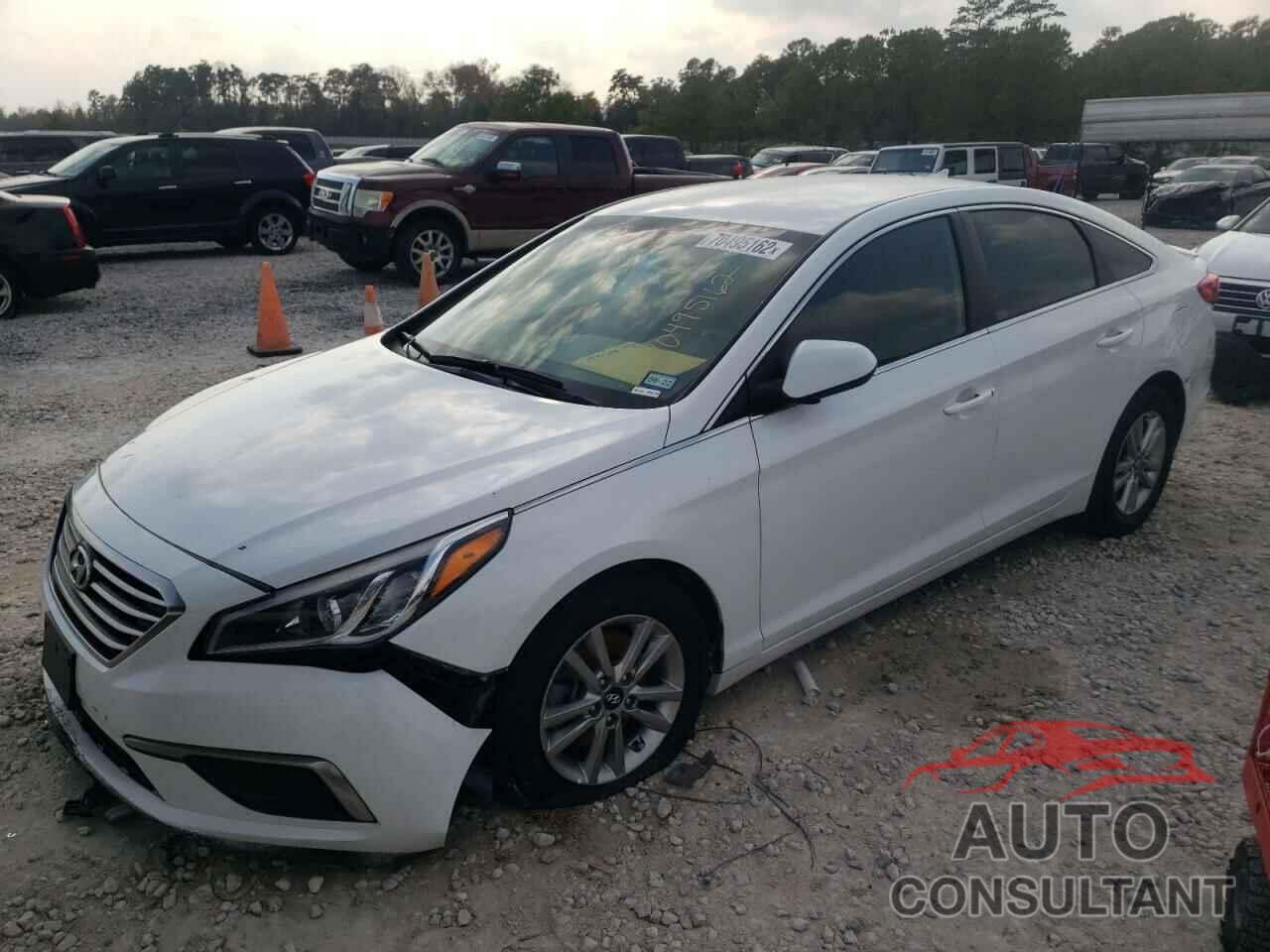 HYUNDAI SONATA 2016 - 5NPE24AF1GH366346