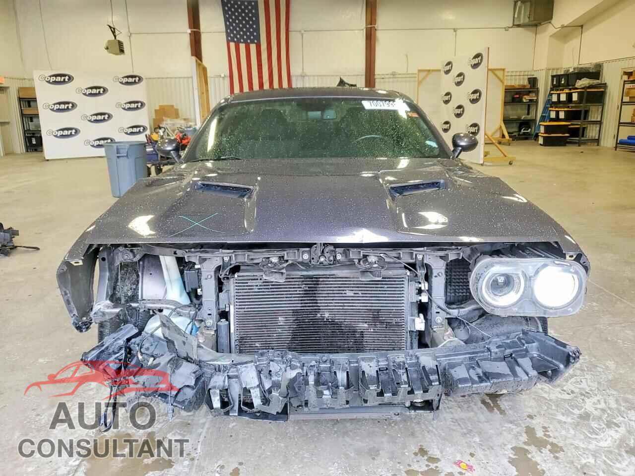 DODGE CHALLENGER 2019 - 2C3CDZAG7KH557542