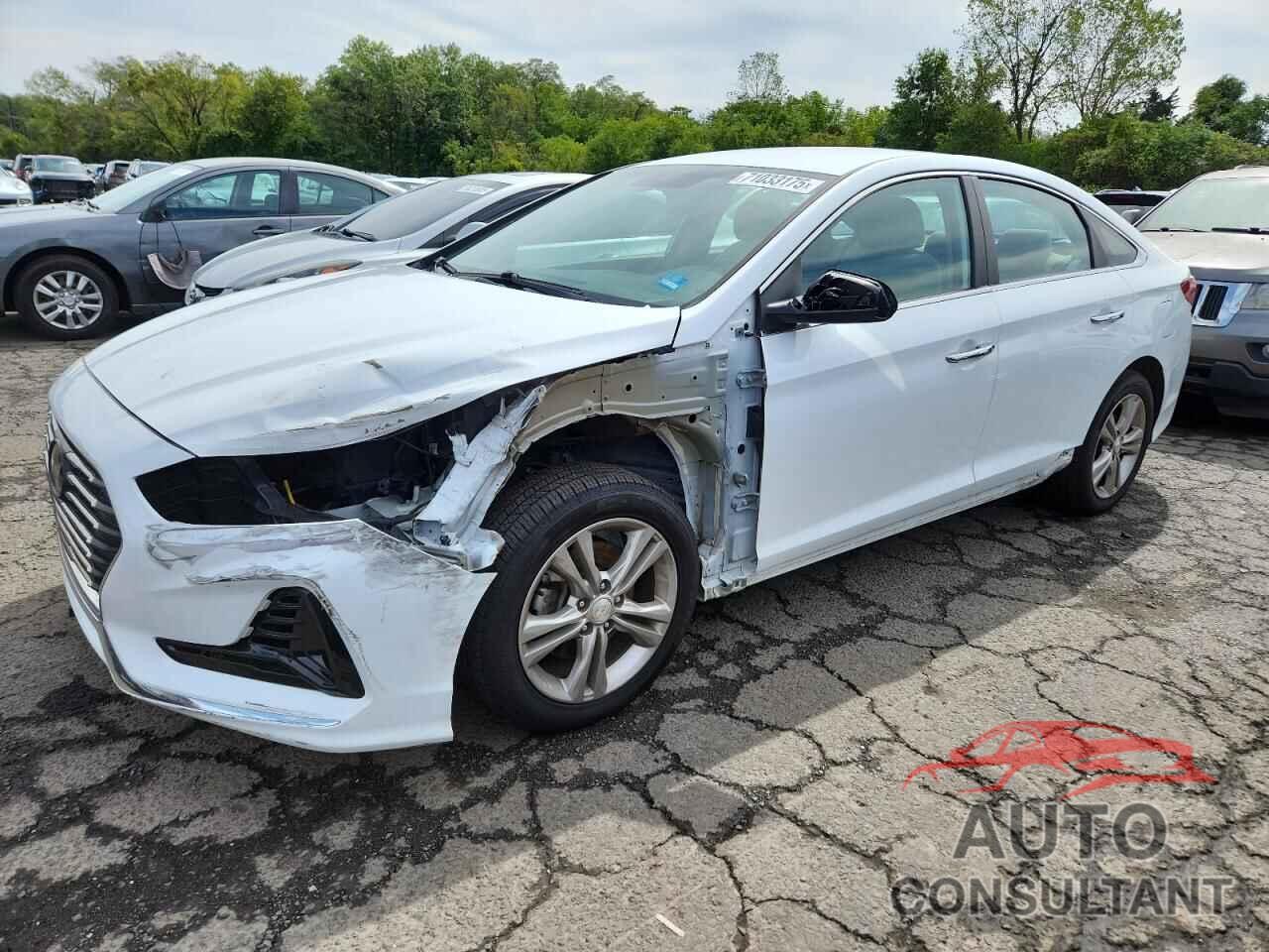 HYUNDAI SONATA 2018 - 5NPE34AF1JH667736