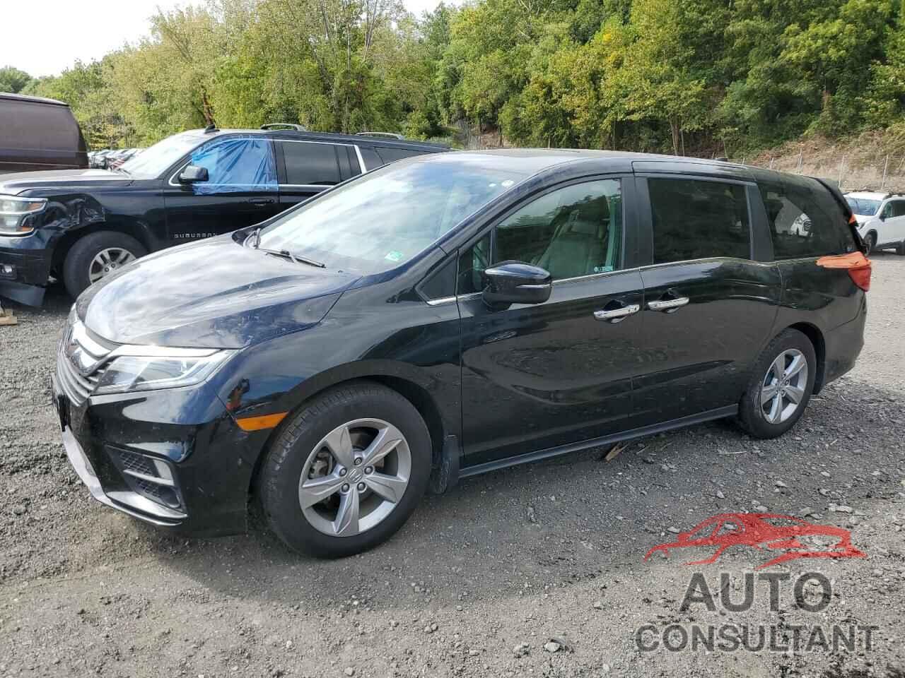 HONDA All Models 2019 - 5FNRL6H73KB075685