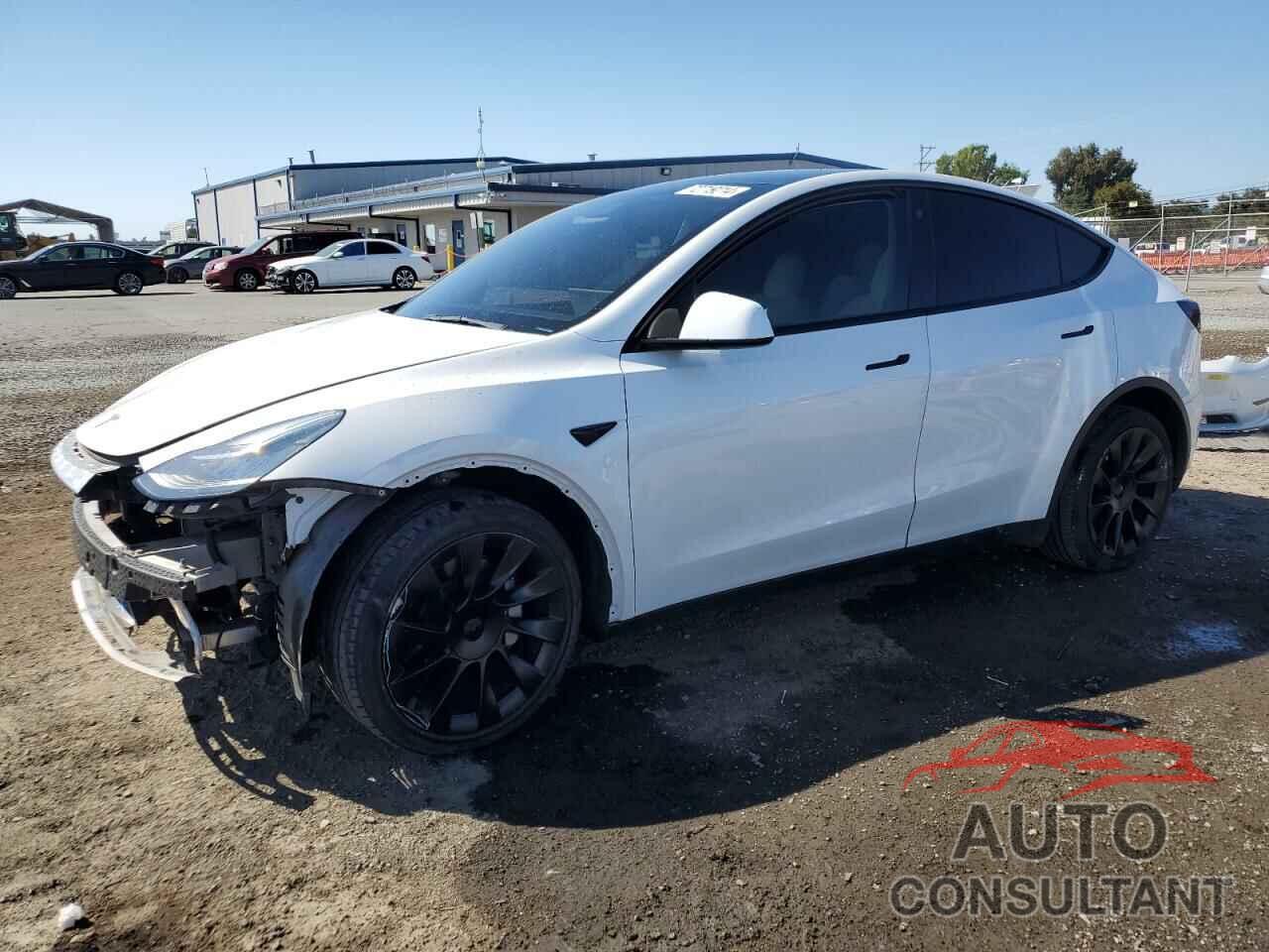 TESLA MODEL Y 2021 - 5YJYGDEE8MF249079