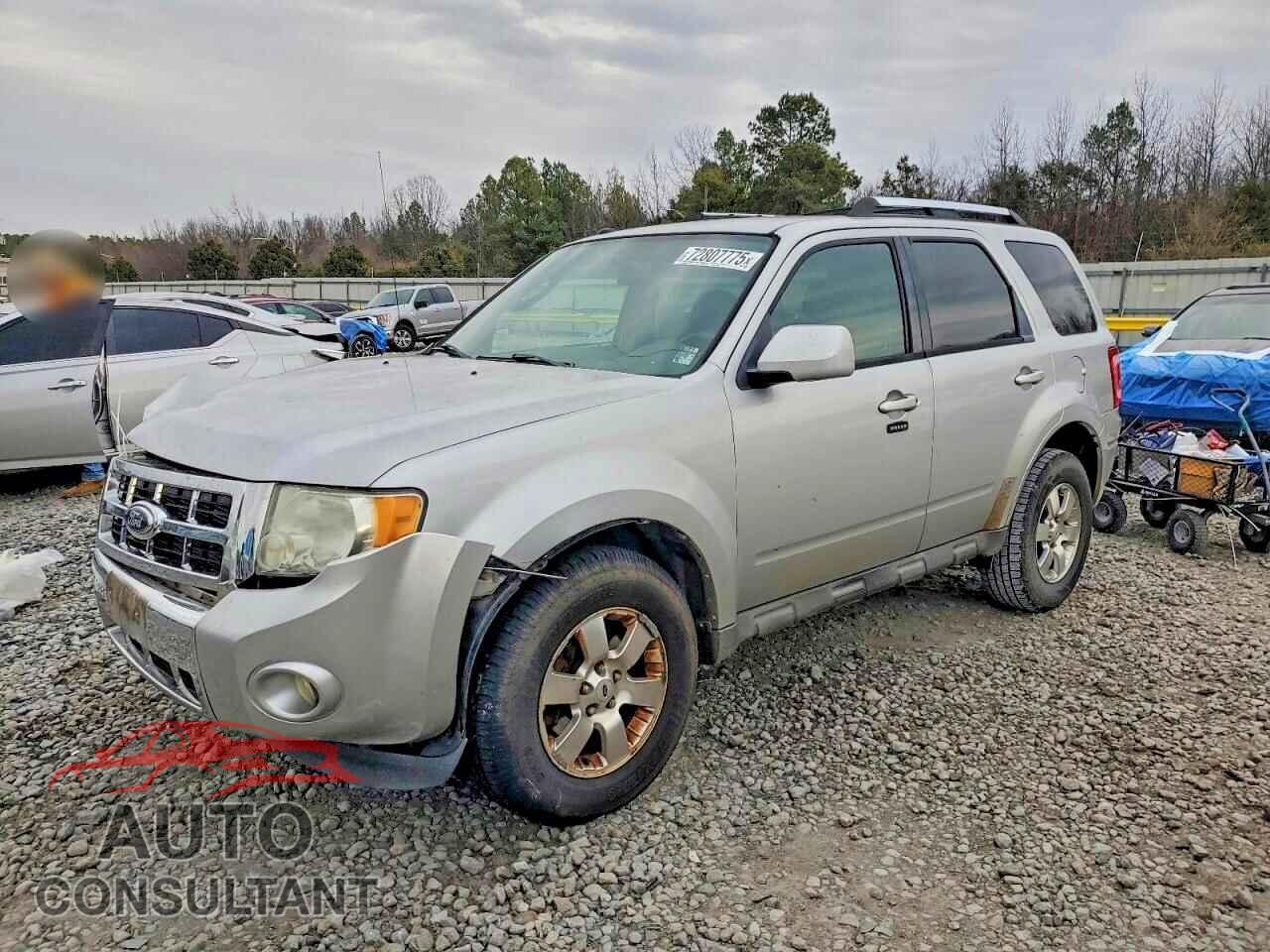 FORD ESCAPE 2011 - 1FMCU0EG5BKB48574