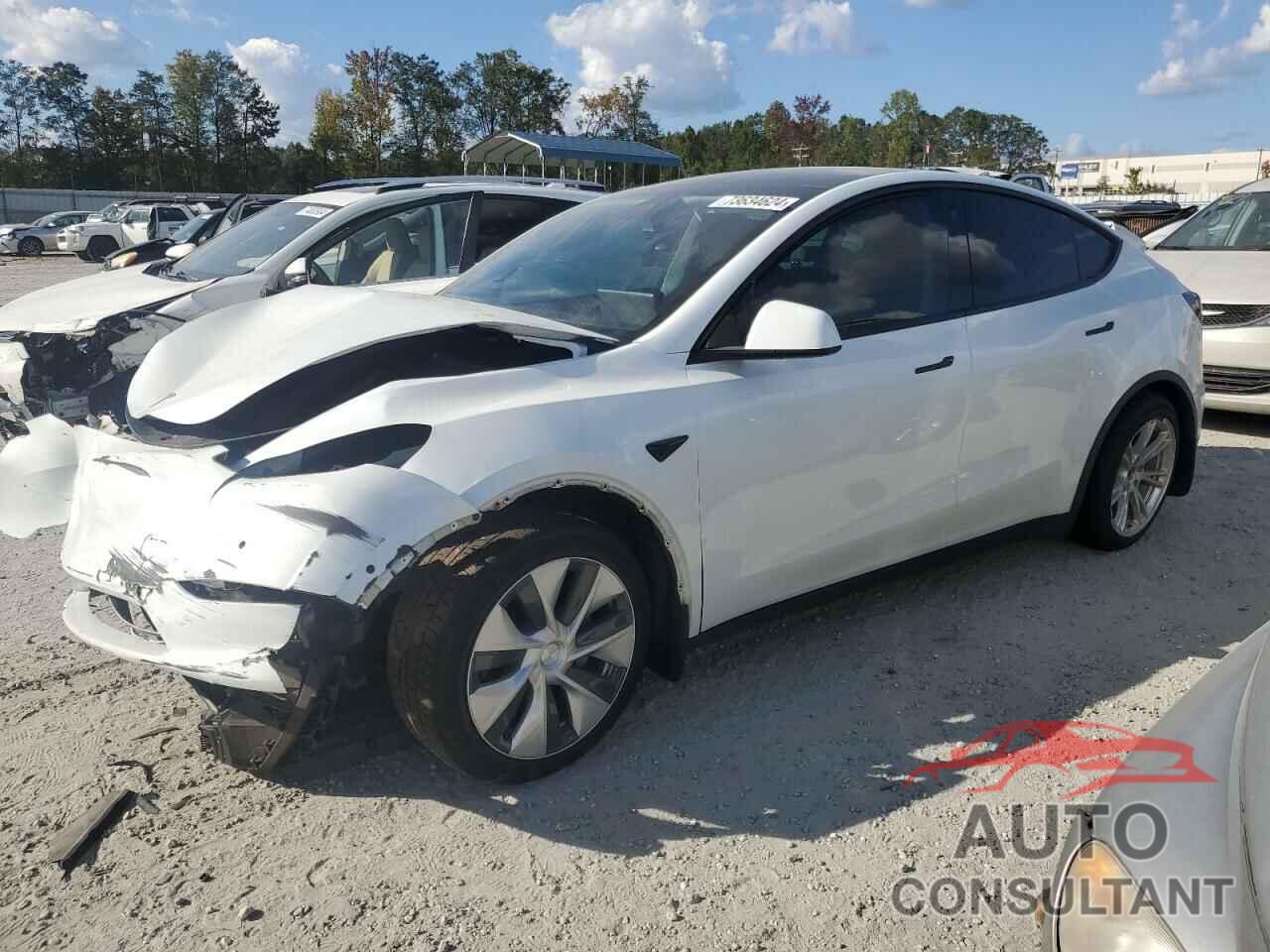 TESLA MODEL Y 2021 - 5YJYGDEE5MF081658