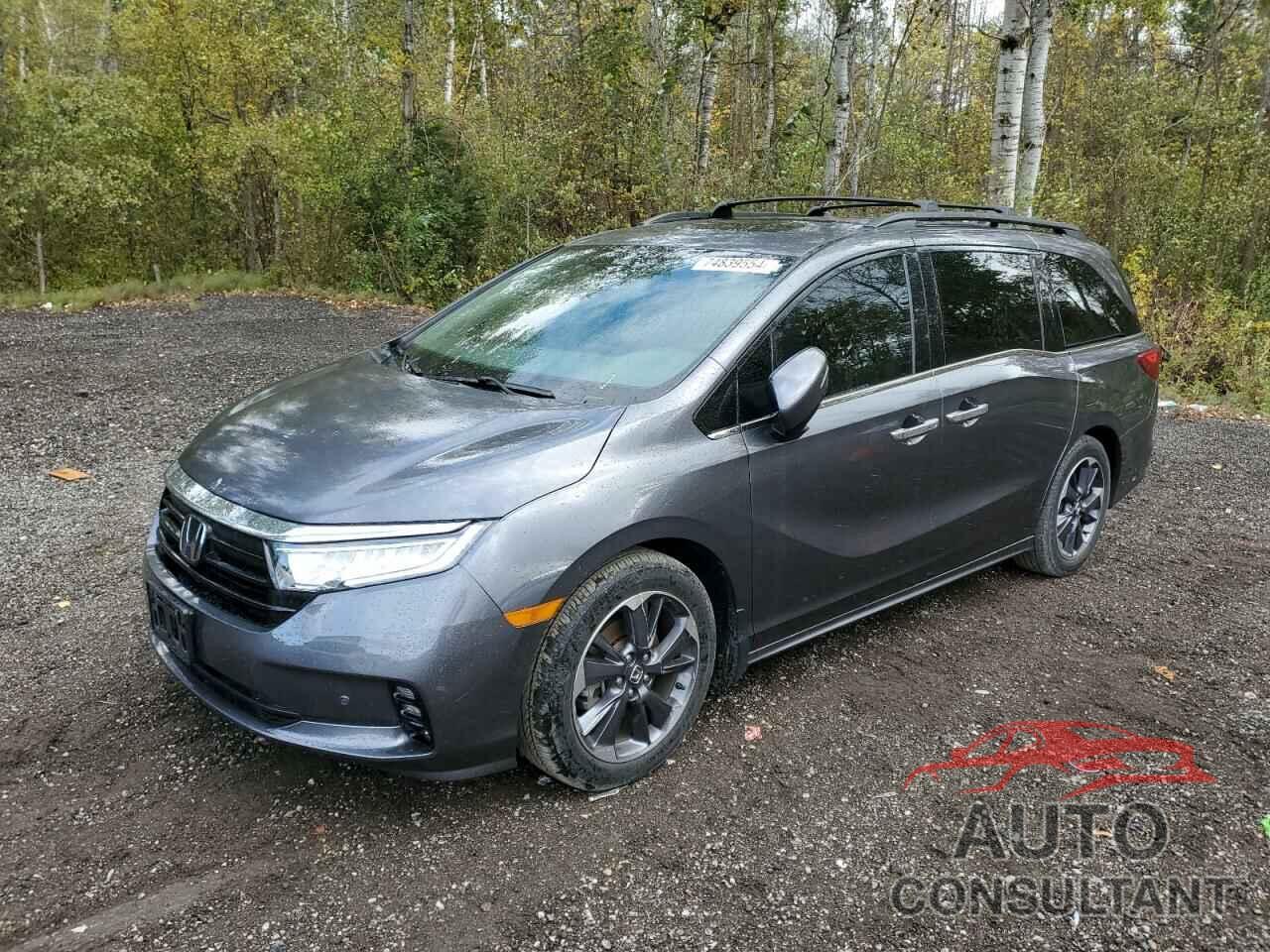 HONDA ODYSSEY 2023 - 5FNRL6H87PB500101