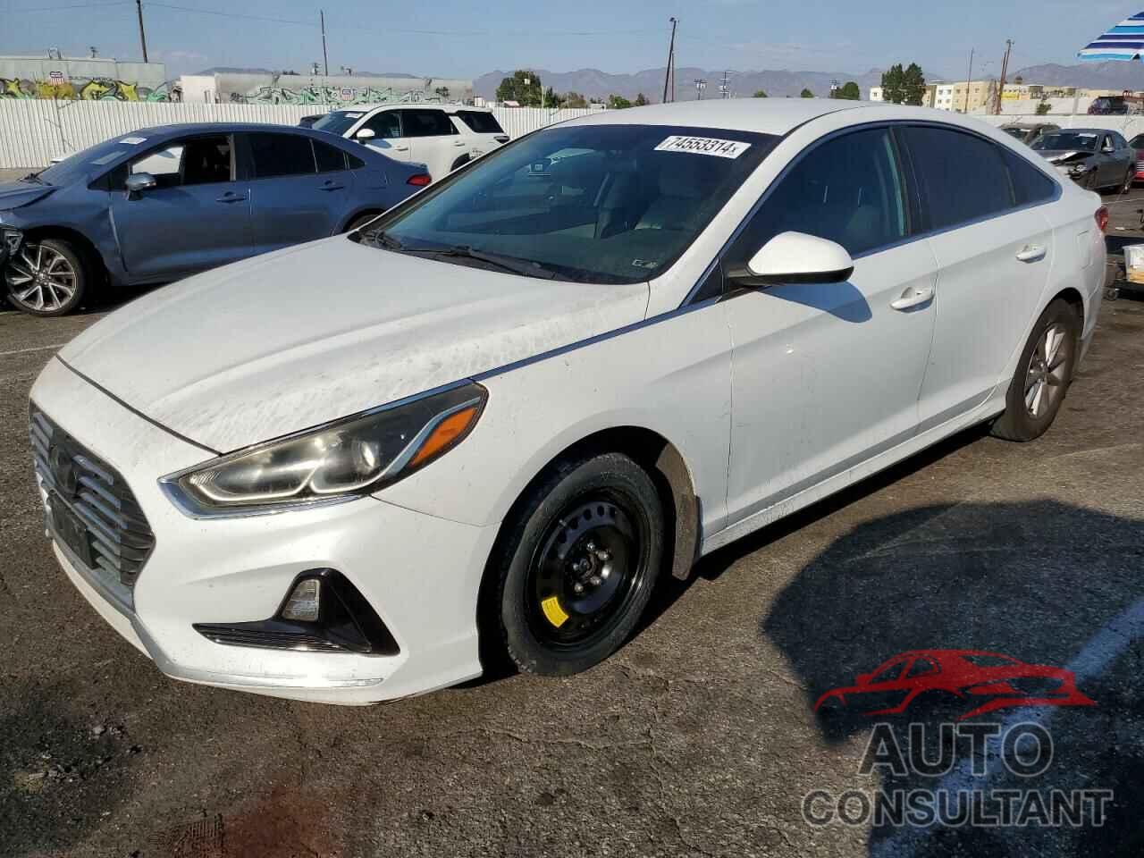 HYUNDAI SONATA 2019 - 5NPE24AF2KH816112
