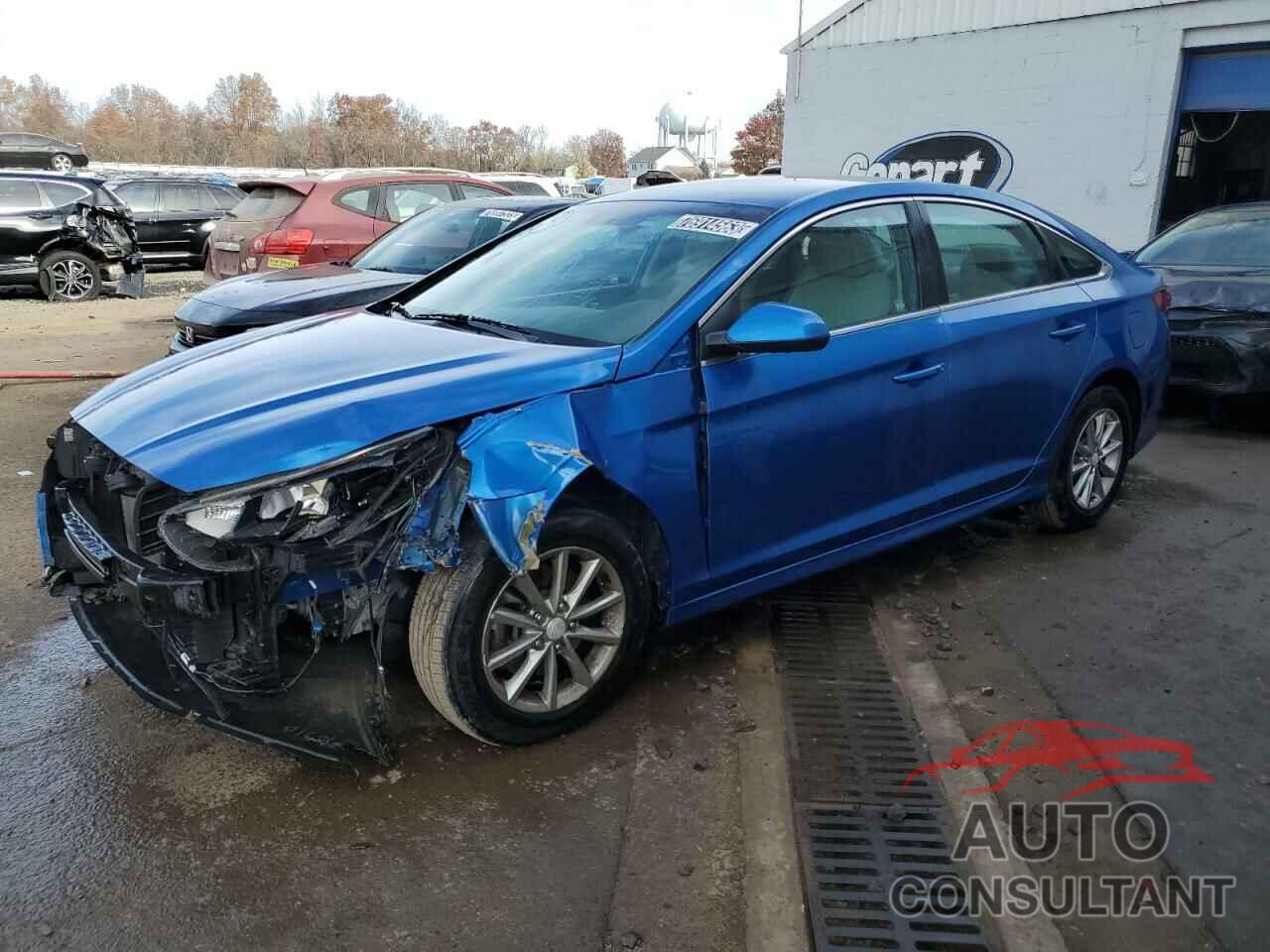 HYUNDAI SONATA 2019 - 5NPE24AF8KH754912