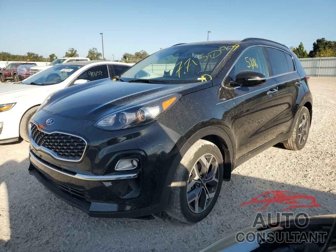 KIA SPORTAGE 2022 - KNDPN3AC6N7009567