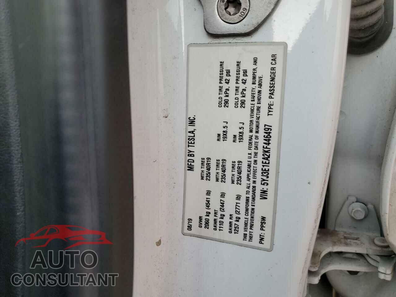 TESLA MODEL 3 2019 - 5YJ3E1EA2KF446497