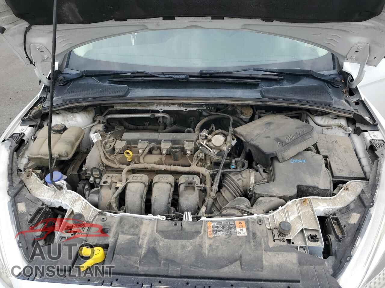 FORD FOCUS 2016 - 1FADP3E22GL380532