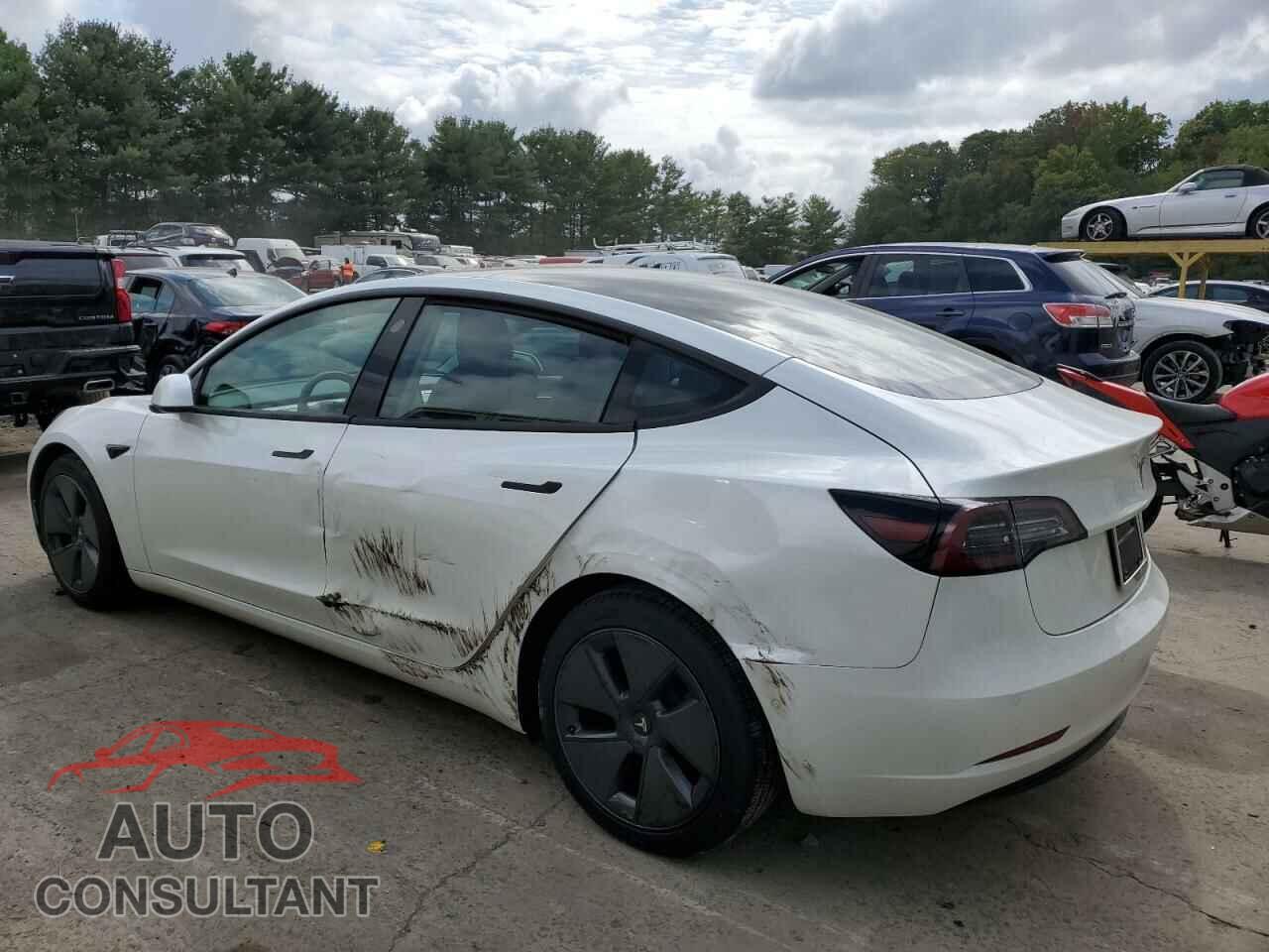 TESLA MODEL 3 2021 - 5YJ3E1EA5MF989085