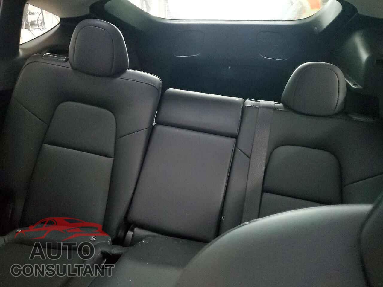 TESLA MODEL Y 2024 - 7SAYGDEE7RA278659