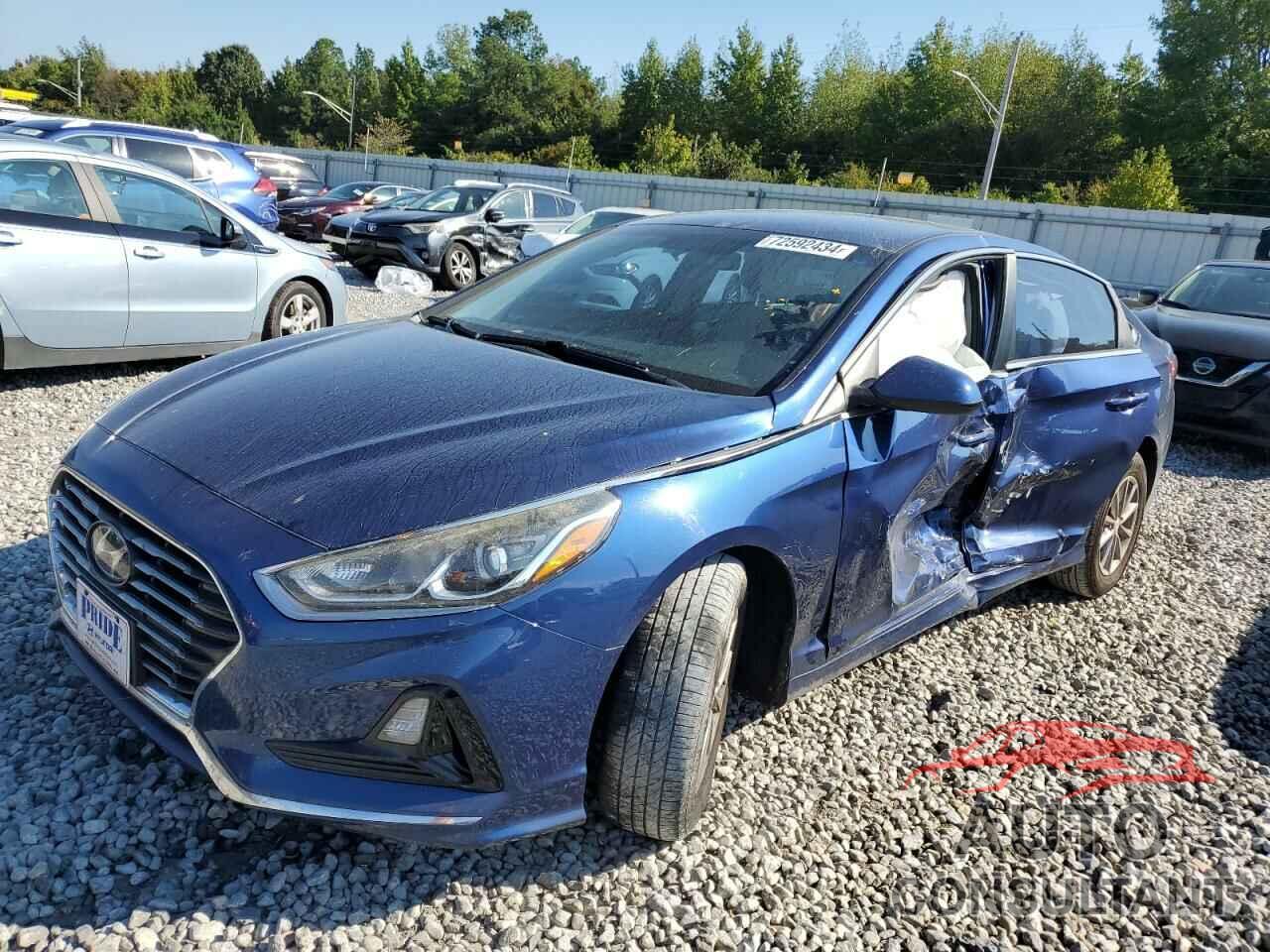 HYUNDAI SONATA 2019 - 5NPE24AF8KH747877