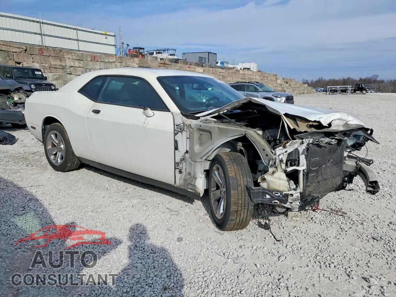 DODGE CHALLENGER 2014 - 2C3CDYAG2EH307477
