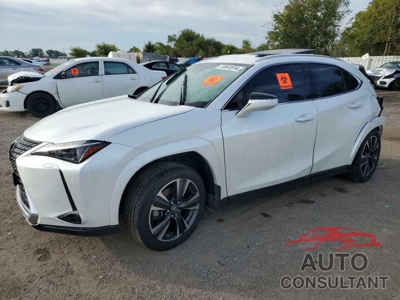 LEXUS UX 250H PR 2024 - JTHL9JBH0R2074238