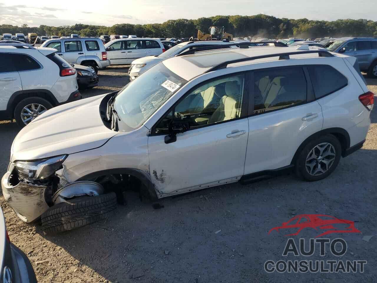 SUBARU FORESTER 2019 - JF2SKAGC4KH575118