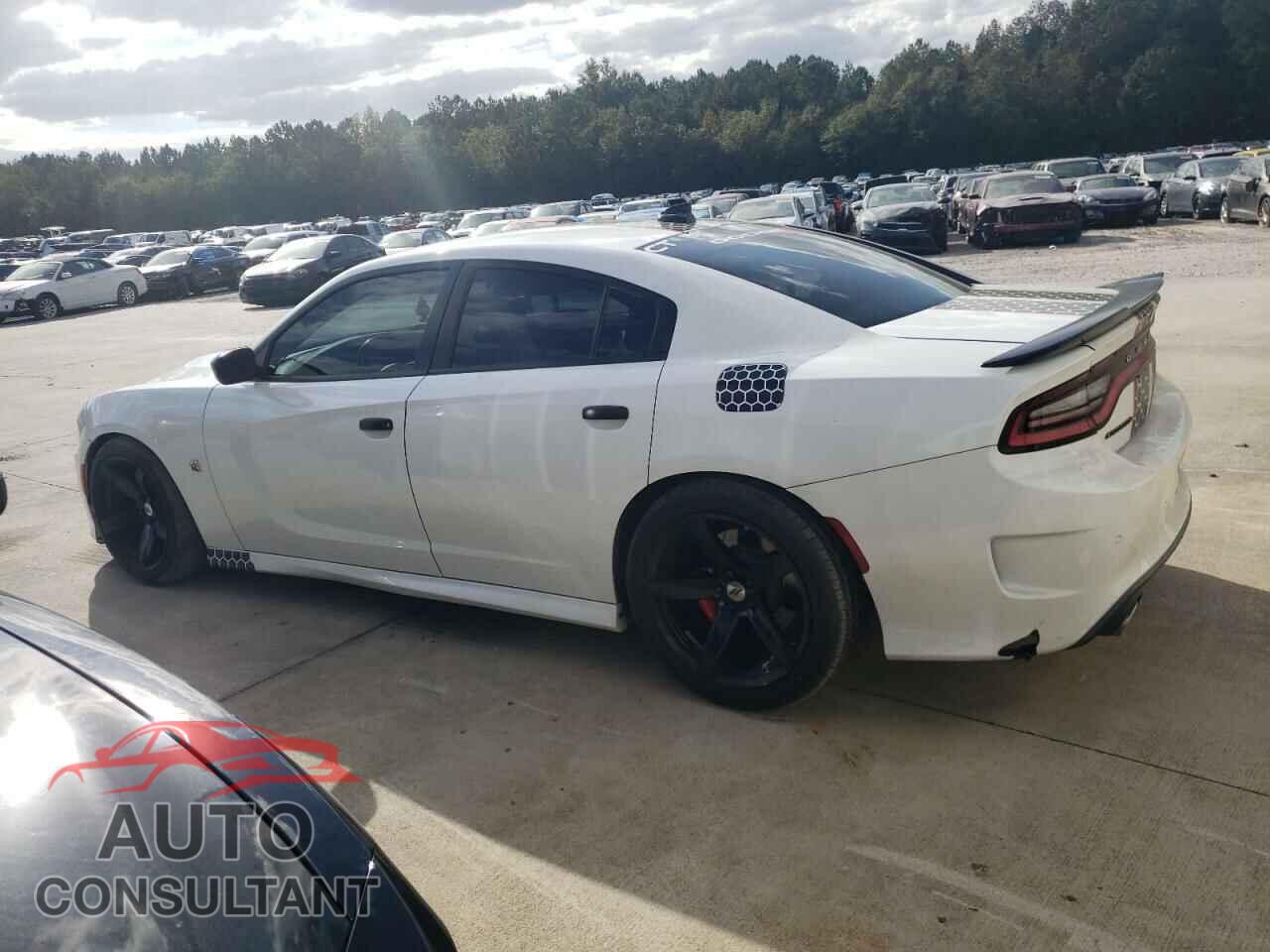 DODGE CHARGER 2016 - 2C3CDXGJXGH183216