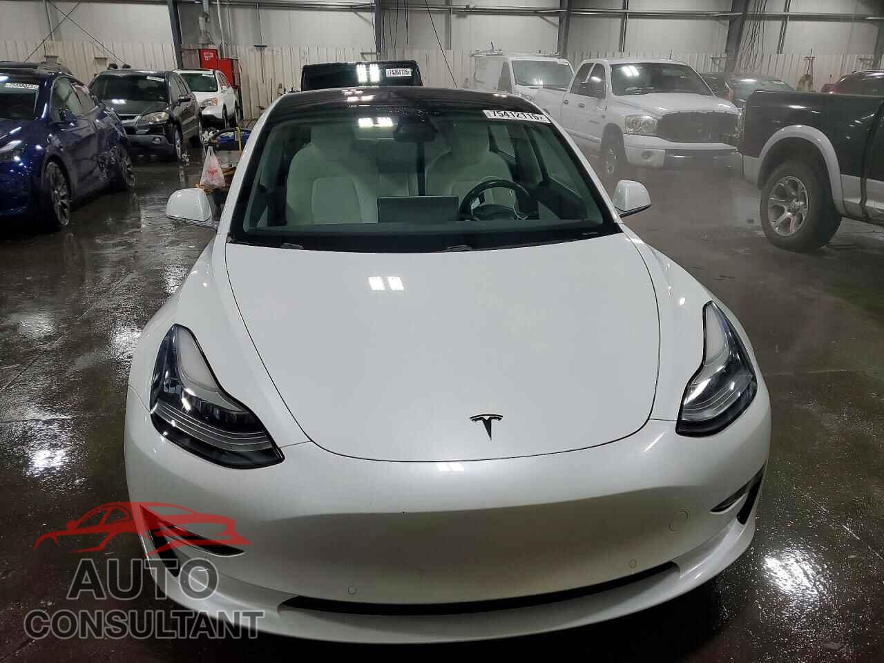 TESLA MODEL 3 2019 - 5YJ3E1EB4KF192266