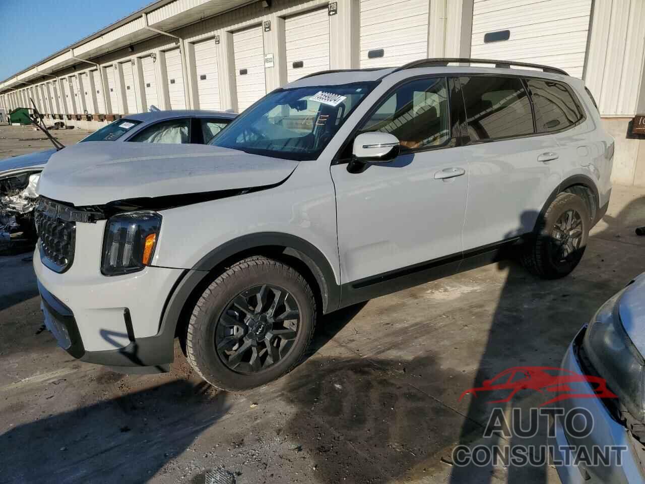 KIA TELLURIDE 2024 - 5XYP5DGC4RG447364