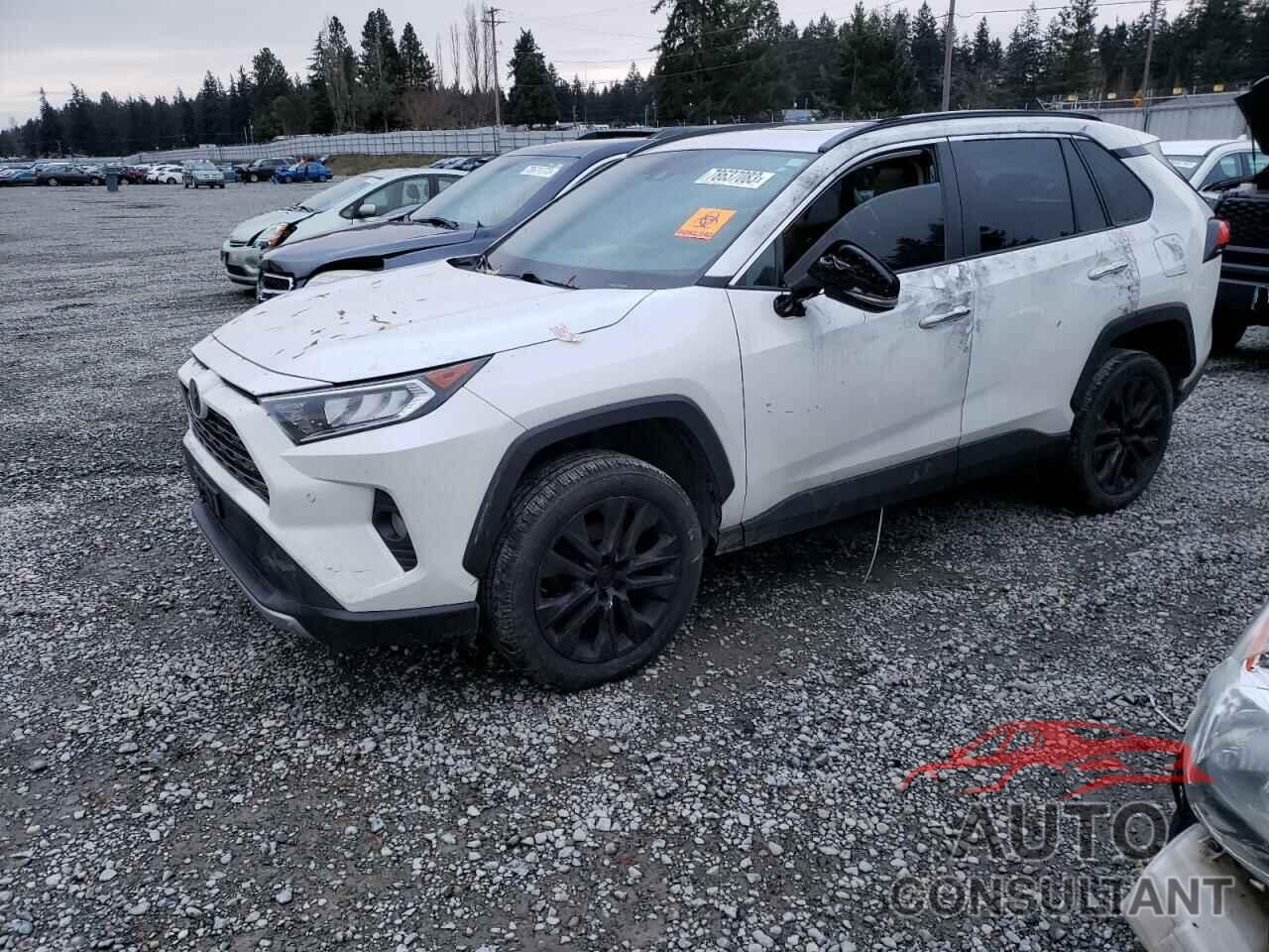 TOYOTA RAV4 2019 - 2T3N1RFV6KC055210