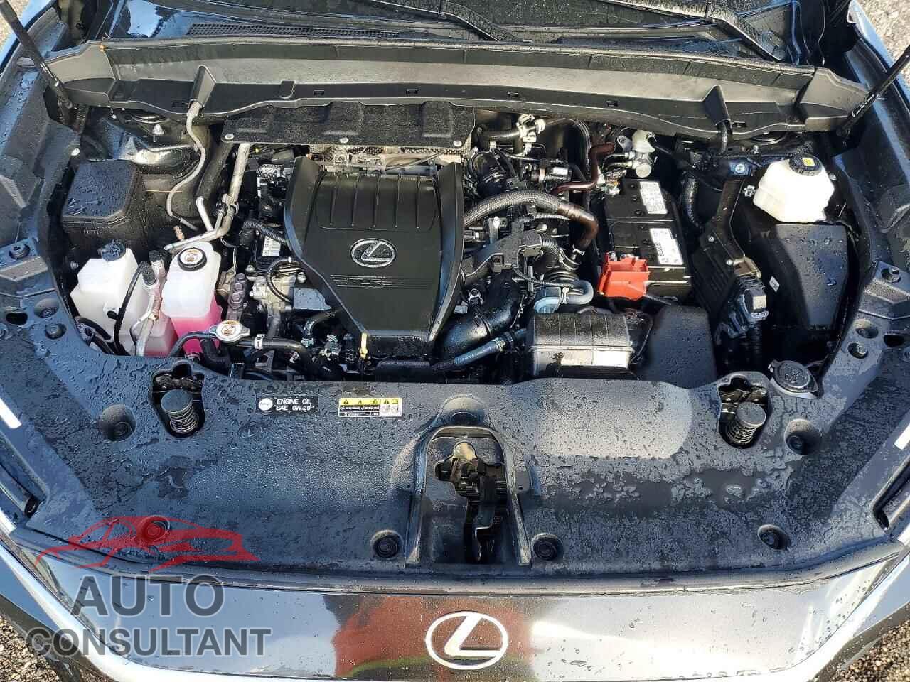LEXUS UNKNOWN 2025 - 5TDAAAA62SS013794