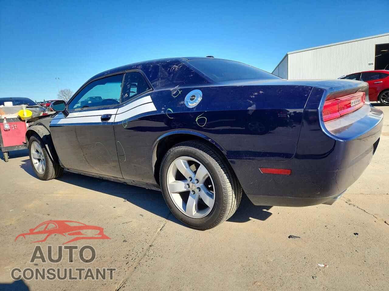 DODGE CHALLENGER 2013 - 2C3CDYAG3DH691963