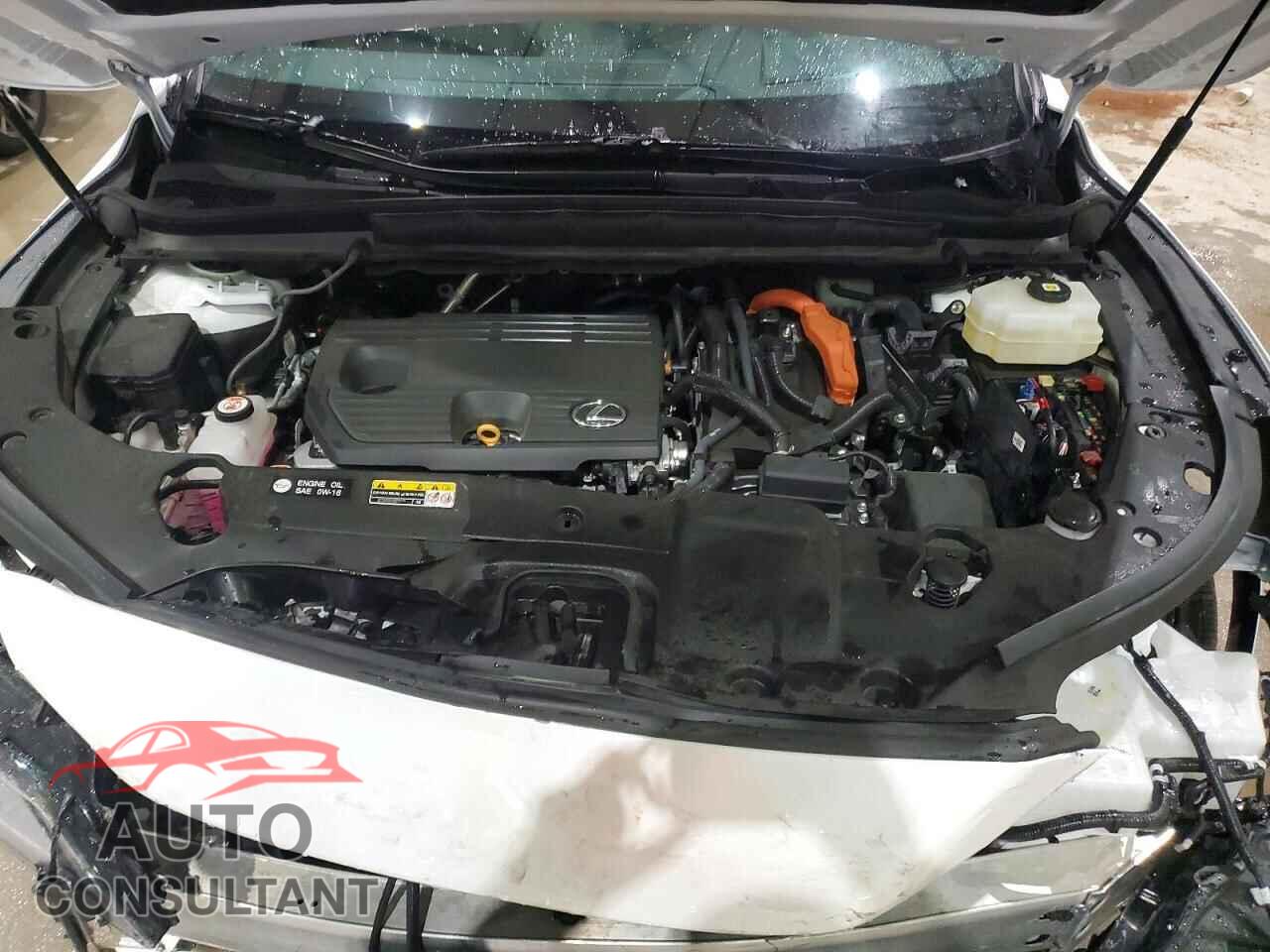 LEXUS RX 350H 2024 - 2T2BBMCA2RC043848