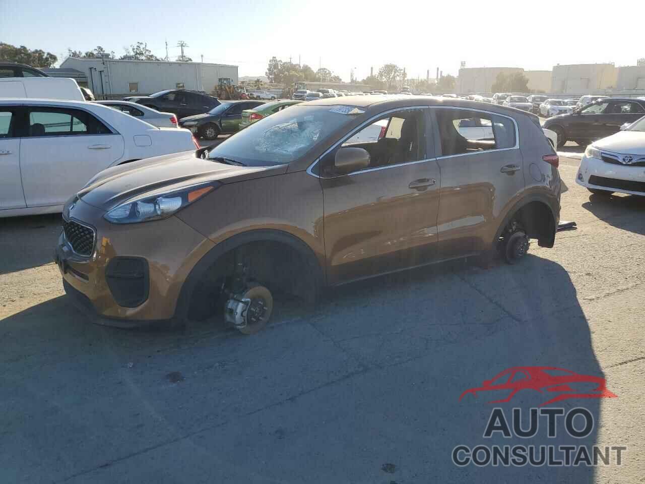 KIA SPORTAGE 2019 - KNDPM3AC0K7623500