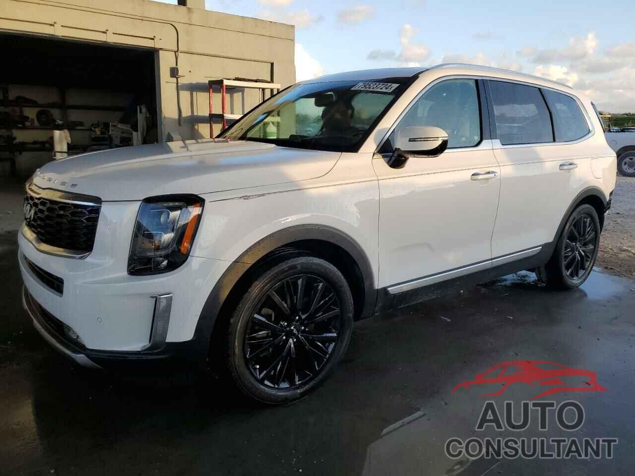 KIA TELLURIDE 2022 - 5XYP5DHC0NG303304