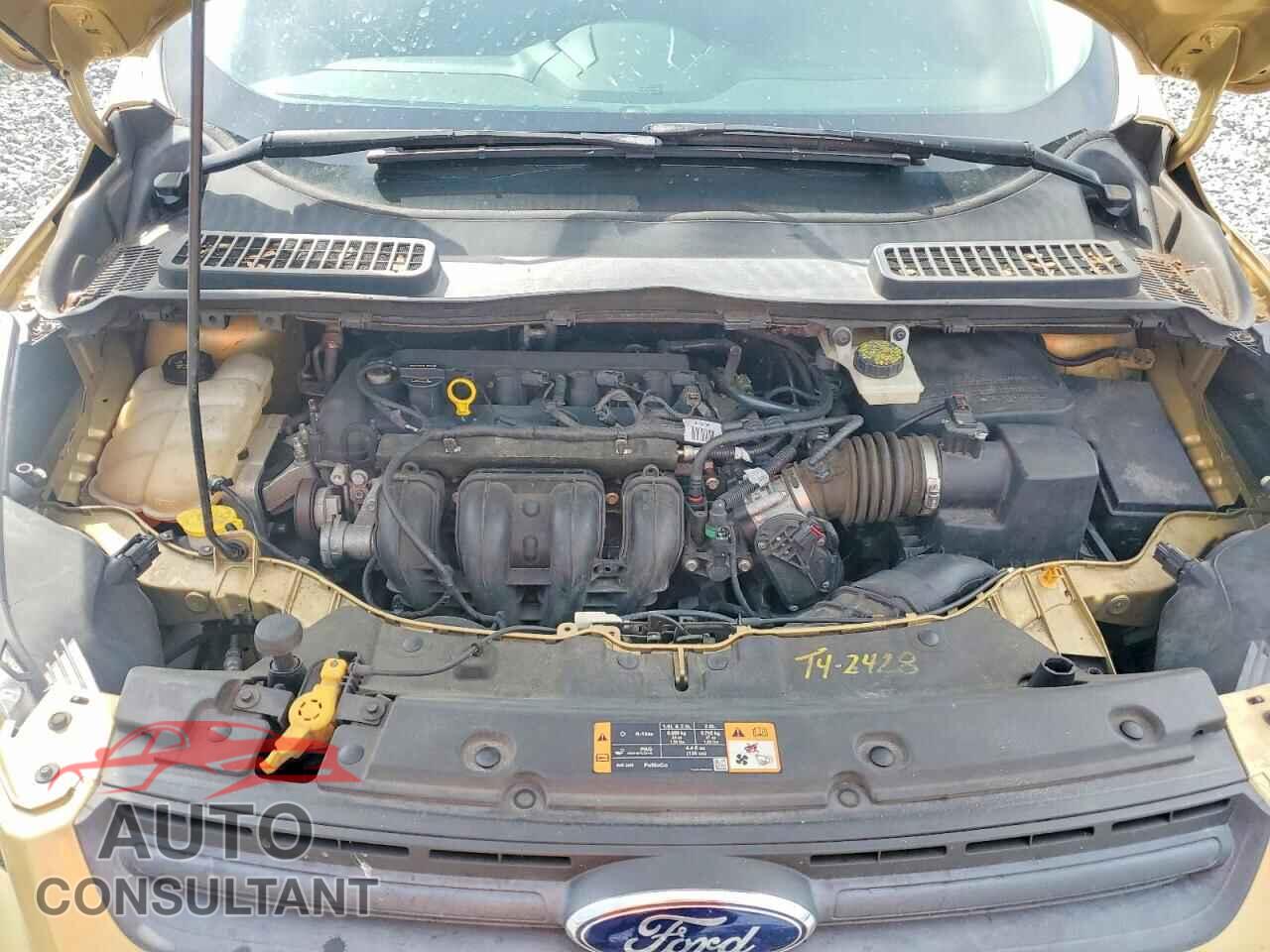 FORD ESCAPE 2014 - 1FMCU0F76EUC98331